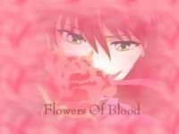 =d poze cub shuuichi minamino